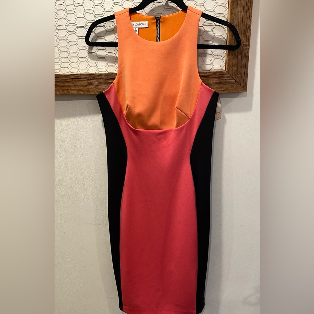 Maggy London Colorblock Mid-Length Dress 8